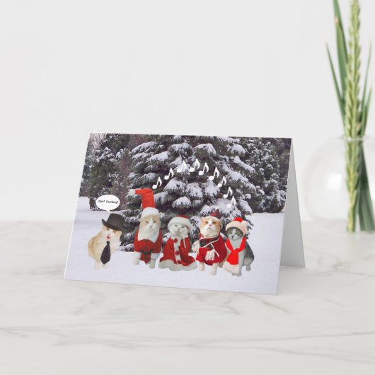 Funny Cat Carolers Feestdagen Kaart (Voorkant)