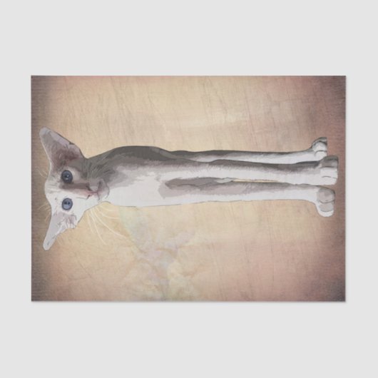 Funny Cat Cartoon Waterverf Tissuepapier (Voorkant)