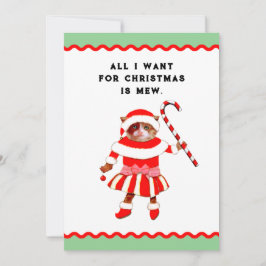 Funny Cat Christmas Feestdagenkaart