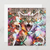 Funny Cat Christmas Lights Holiday Kaart (Voorkant / Achterkant)