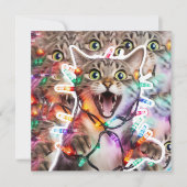 Funny Cat Christmas Lights Holiday Kaart (Voorkant)