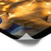 Funny Cat Christmas Meme Shirt Cute Holiday Meme C Poster (Hoek)