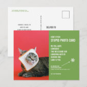 Funny Cat Christmas Stupid Photo Card Briefkaart (Voorkant / Achterkant)