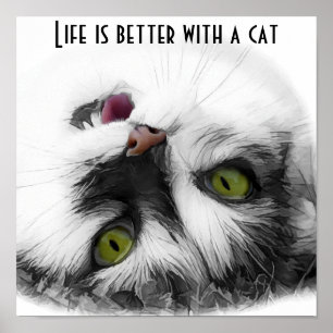 Funny Cat classic Poster