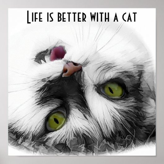 Funny Cat classic Poster (Voorkant)