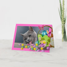 Funny Cat Custom Easter Kaart