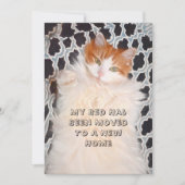 Funny Cat Cute Moving New Address Aankondiging (Voorkant)