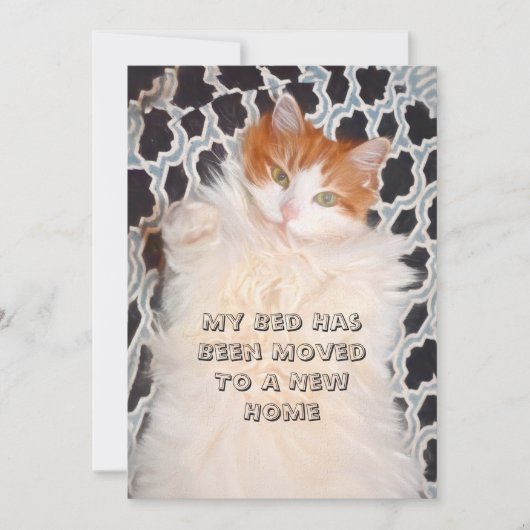 Funny Cat Cute Moving New Address Aankondiging (Voorkant)