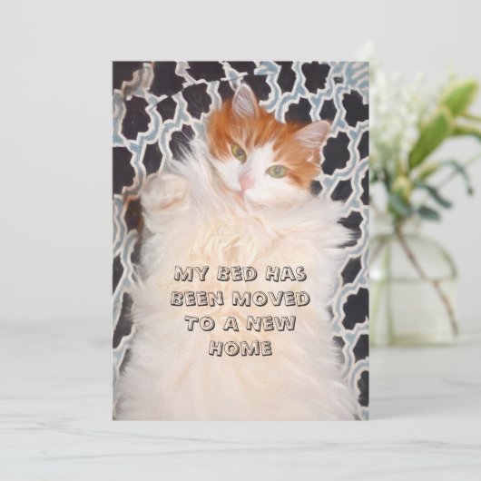 Funny Cat Cute Moving New Address Aankondiging (Staand voorkant)