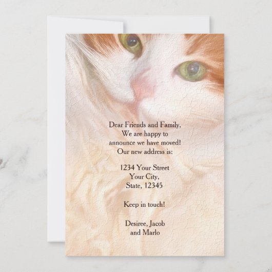 Funny Cat Cute Moving New Address Aankondiging (Achterkant)