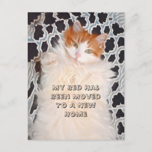 Funny Cat Cute Moving New Address Briefkaart