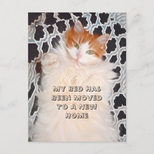 Funny Cat Cute Moving New Address Briefkaart (Voorkant)