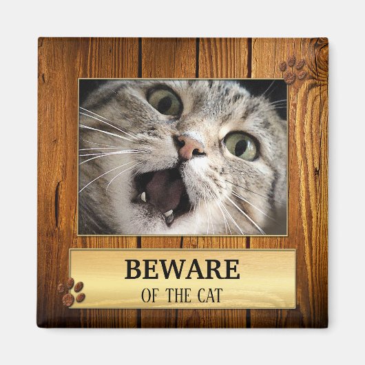 Funny Cat Cute Photo Magnet (Voorkant)