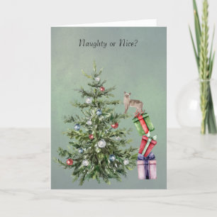 Funny Cat die een kerstboomvakantie-Kaart beklimt Feestdagen Kaart