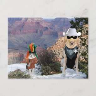 Funny Cat & Dog/Lab Westerne tekens Briefkaart