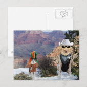 Funny Cat & Dog/Lab Westerne tekens Briefkaart (Voorkant / Achterkant)