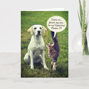 Funny Cat & Dog Valentijn (aanpasbaar) Feestdagen Kaart