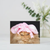 Funny Cat Easter Briefkaart (Staand voorkant)