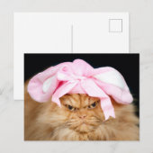 Funny Cat Easter Briefkaart (Voorkant / Achterkant)