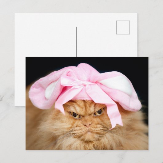 Funny Cat Easter Briefkaart (Voorkant / Achterkant)