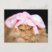 Funny Cat Easter Briefkaart (Voorkant)