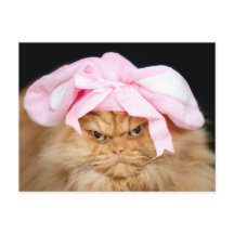 Funny Cat Easter Briefkaart