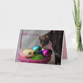 Funny Cat Easter Feestdagen Kaart