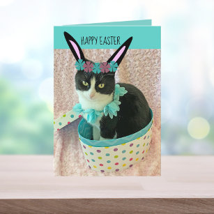 Funny Cat Easter Kaart