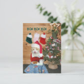 Funny Cat Eating Santa's Snack Feestdagenkaart (Staand voorkant)