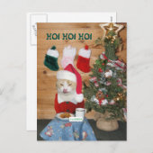 Funny Cat Eating Santa's Snack Feestdagenkaart (Voorkant / Achterkant)