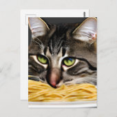 Funny Cat Eating Spaghetti Briefkaart (Voorkant / Achterkant)