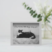 Funny Cat en Annoying Paraket Briefkaart (Staand voorkant)