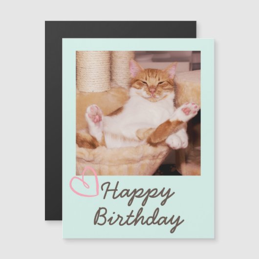  Funny Cat en Happy Birthday (Voorkant / Achterkant)
