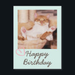 Funny Cat en Happy Birthday<br><div class="desc">Het is de Funny Cat en Happy Birthday kaart. De sukkelende kat is grappig en mooi. U kunt uw berichten opnemen. Het zal je vriend aan het lachen maken. Dit zal een betekenisvol cadeau zijn en je vriend aan het lachen maken. Ik wil u nu feliciteren en een van de...</div>