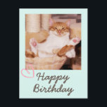Funny Cat en Happy Birthday Briefkaart<br><div class="desc">Het is het Funny Cat en Happy Birthday Briefkaart. De sukkelende kat is grappig en mooi. U kunt uw berichten opnemen. Het zal je vriend aan het lachen maken. Dit zal een betekenisvol cadeau zijn en je vriend aan het lachen maken. Ik wil u nu feliciteren en een van de...</div>