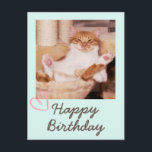 Funny Cat en Happy Birthday Briefkaart<br><div class="desc">Het is het Funny Cat en Happy Birthday Briefkaart. De sukkelende kat is grappig en mooi. U kunt uw berichten opnemen. Het zal je vriend aan het lachen maken. Dit zal een betekenisvol cadeau zijn en je vriend aan het lachen maken. Ik wil u nu feliciteren en een van de...</div>