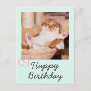  Funny Cat en Happy Birthday Briefkaart
