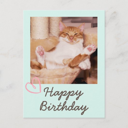 Funny Cat en Happy Birthday Briefkaart (Voorkant)