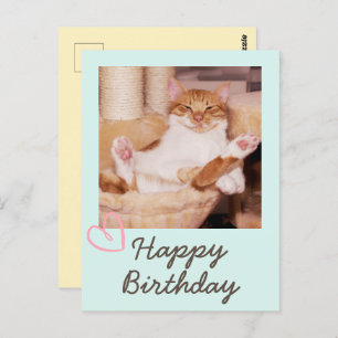  Funny Cat en Happy Birthday Briefkaart