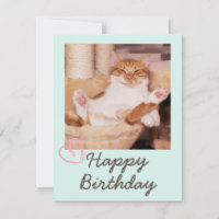 Funny Cat en Happy Birthday
