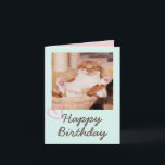 Funny Cat en Happy Birthday Kaart<br><div class="desc">Het is de Funny Cat en Happy Birthday Kaart. De sukkelende kat is grappig en mooi. U kunt uw berichten opnemen. Het zal je vriend aan het lachen maken. Dit zal een betekenisvol cadeau zijn en je vriend aan het lachen maken. Ik wil u nu feliciteren en een van de...</div>