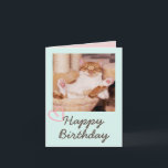 Funny Cat en Happy Birthday Kaart<br><div class="desc">Het is de Funny Cat en Happy Birthday Kaart. De sukkelende kat is grappig en mooi. U kunt uw berichten opnemen. Het zal je vriend aan het lachen maken. Dit zal een betekenisvol cadeau zijn en je vriend aan het lachen maken. Ik wil u nu feliciteren en een van de...</div>