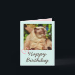 Funny Cat en Happy Birthday Kaart<br><div class="desc">Het is de Funny Cat en Happy Birthday Kaart. De sukkelende kat is grappig en mooi. U kunt uw berichten opnemen. Het zal je vriend aan het lachen maken. Dit zal een betekenisvol cadeau zijn en je vriend aan het lachen maken. Ik wil u nu feliciteren en een van de...</div>