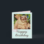 Funny Cat en Happy Birthday Kaart<br><div class="desc">Het is de Funny Cat en Happy Birthday Kaart. De sukkelende kat is grappig en mooi. U kunt uw berichten opnemen. Het zal je vriend aan het lachen maken. Dit zal een betekenisvol cadeau zijn en je vriend aan het lachen maken. Ik wil u nu feliciteren en een van de...</div>