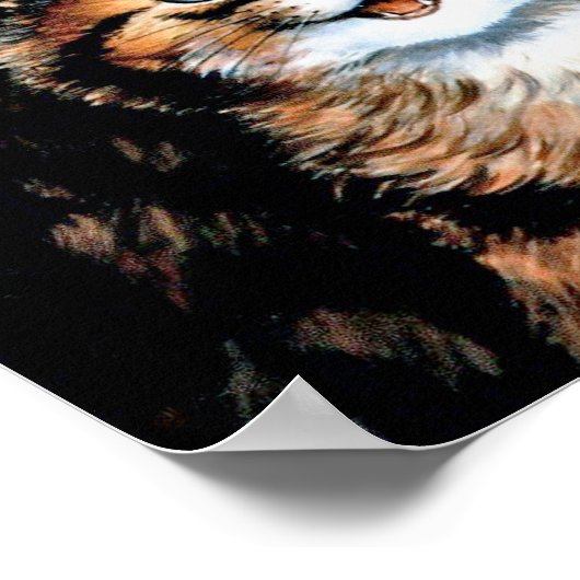 Funny Cat en Kitten, Louis Wain Poster (Hoek)