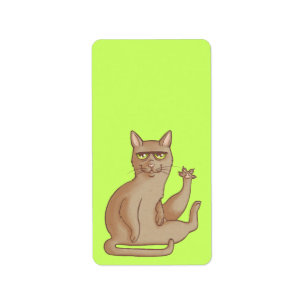 Funny Cat Etiket