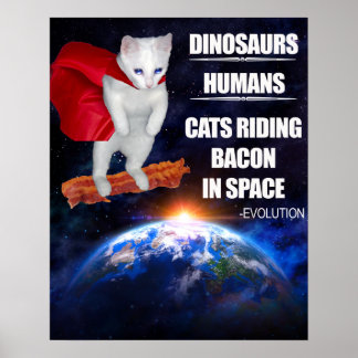 Funny Cat: Evolutie Poster