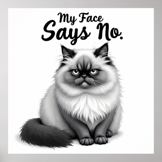 Funny Cat Face Illustration – Minimal Cute Cat Art Poster (Voorkant)