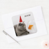Funny Cat & Fish custom monogram stickers (Envelop)