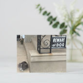 Funny Cat Foto Briefkaart (Staand voorkant)